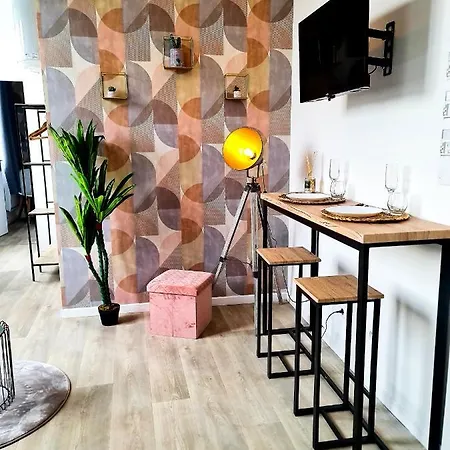 Ng Prestige - Lille I Winoc - T2 - Netflix - Wifi - Cuisine - Parking Gratuit Apartamento *