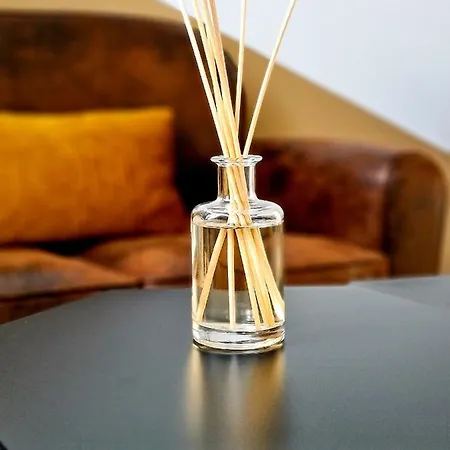 Ng Prestige - Lille I Winoc - T2 - Netflix - Wifi - Cuisine - Parking Gratuit Apartamento