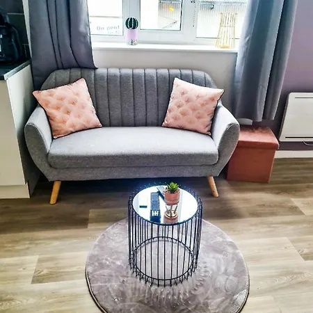 Ng Prestige - Lille I Winoc - T2 - Netflix - Wifi - Cuisine - Parking Gratuit Tourcoing