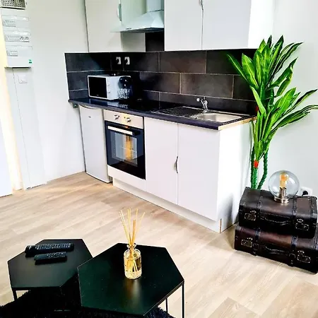 Ng Prestige - Lille I Winoc - T2 - Netflix - Wifi - Cuisine - Parking Gratuit Tourcoing
