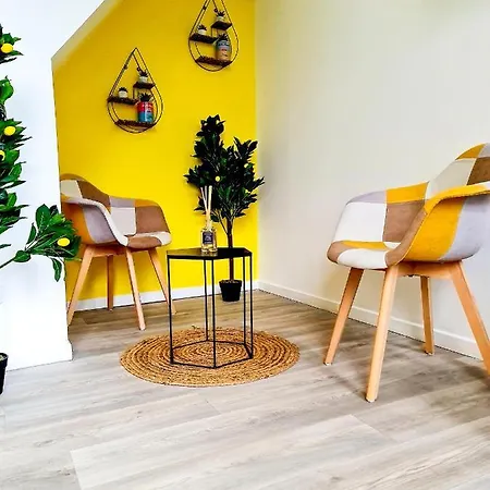 Ng Prestige - Lille I Winoc - T2 - Netflix - Wifi - Cuisine - Parking Gratuit