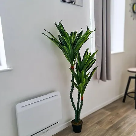 Ng Prestige - Lille I Winoc - T2 - Netflix - Wifi - Cuisine - Parking Gratuit Apartamento