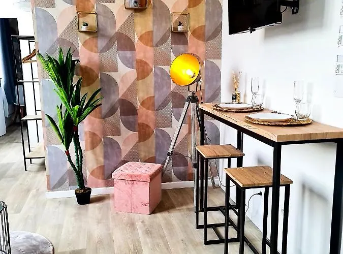 Ng Prestige - Lille I Winoc - T2 - Netflix - Wifi - Cuisine - Parking Gratuit 公寓 *