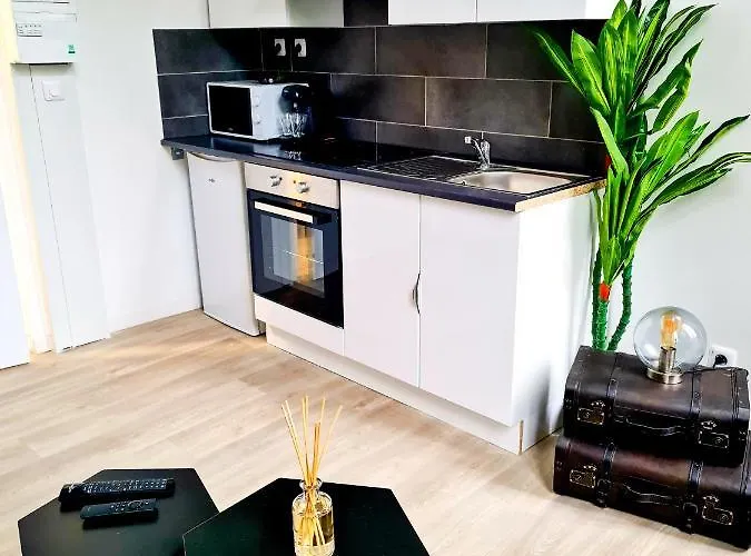 Ng Prestige - Lille I Winoc - T2 - Netflix - Wifi - Cuisine - Parking Gratuit 图尔昆
